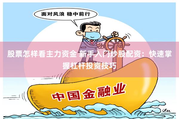 股票怎样看主力资金 新手入门炒股配资：快速掌握杠杆投资技巧