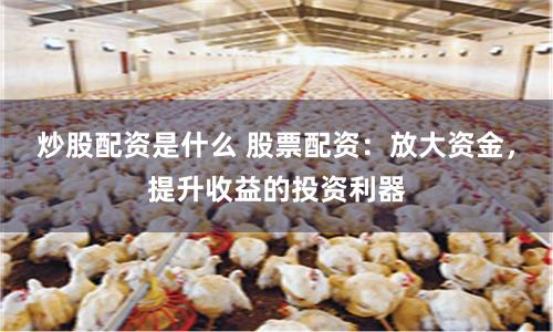 炒股配资是什么 股票配资：放大资金，提升收益的投资利器